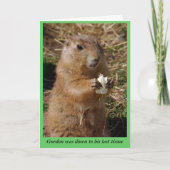 Kies voor een goede gopher kaart (Voorkant)