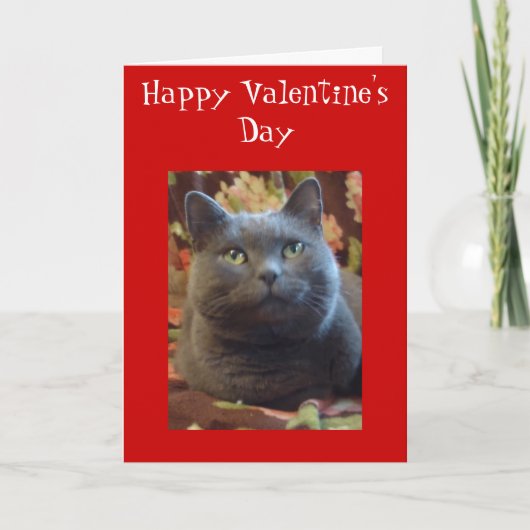 Kietelend gevoelens feestdagen kaart (Voorkant)