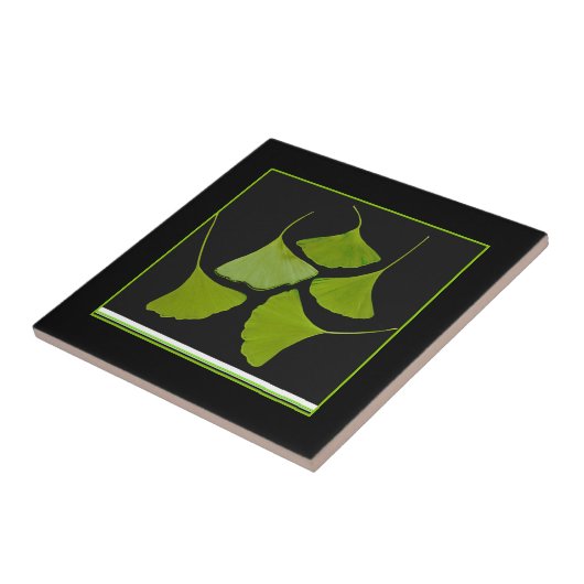 kieuwbladeren tegeltje (Zijkant)