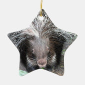 Kieuwde porcupine Ornament (Voorkant)
