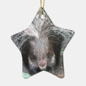 Kieuwde porcupine Ornament (Links)