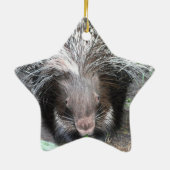Kieuwde porcupine Ornament (Achterkant)