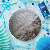 Kieuwen bij de strand papieren bordje (Feest)