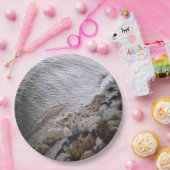 Kieuwen bij de strand papieren bordje (Feest)