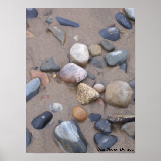 Kieuwen op de nabijheid van de strand poster (Voorkant)