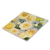 kieuwrozenkoraal op grijs tegeltje (Zijkant)