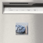 kiezelmagneet magneet (Insitu (Vaatwasser))