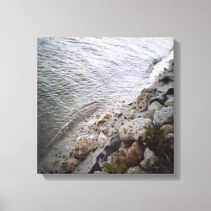 Kiezels Aan Het Strand Canvas Afdruk
