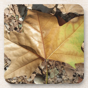 kiezels en bladeren drankjes onderzetter