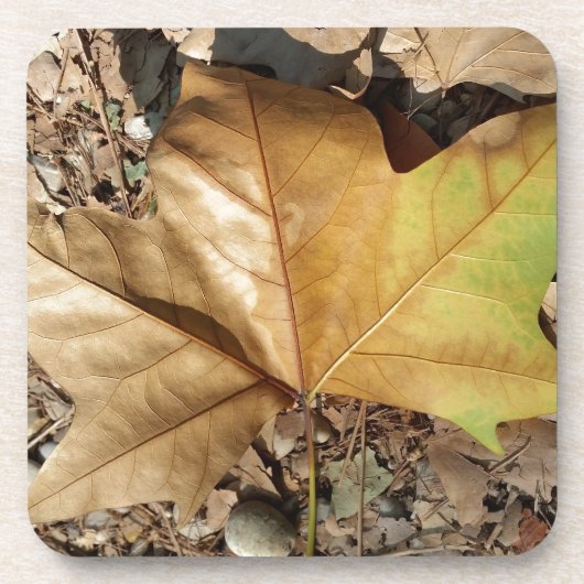 kiezels en bladeren drankjes onderzetter (Voorkant)