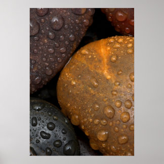 Kiezels met Waterdruppels Poster