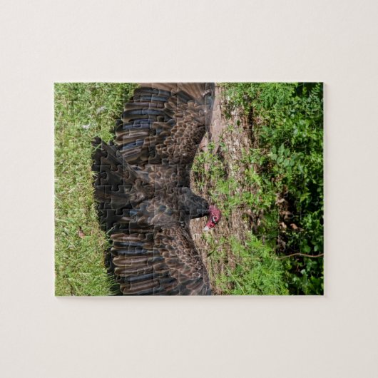 Kiezen van Turkije Legpuzzel (Horizontaal)