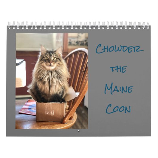 Kiezen voor de Maine Coon Calendar Kalender (Hoes)