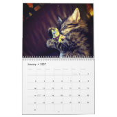 Kiezen voor de Maine Coon Calendar Kalender (Jan 2027)