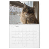 Kiezen voor de Maine Coon Calendar Kalender (Mar 2027)