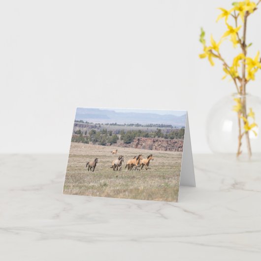 Kiger Bachelors Kaart (Gele Bloem)