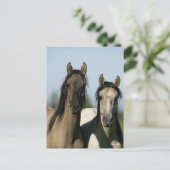Kiger Mustang Horses die op hun kop staan Briefkaart (Staand voorkant)