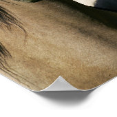 Kiger Mustang Horses die op hun kop staan Poster (Hoek)