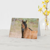 Kiger Stallion Wenskaart Kaart (Gele Bloem)