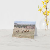Kiger vrijgezellen kaart (Gele Bloem)