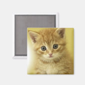 Kiity Magneet (Voorkant / Achterkant)