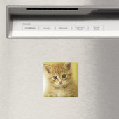 Kiity Magneet (Insitu (Vaatwasser))