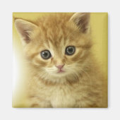 Kiity Magneet (Voorkant)