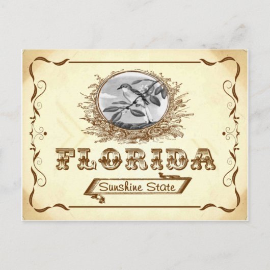  Kijk 1910 Florida Old Briefkaart (Voorkant)