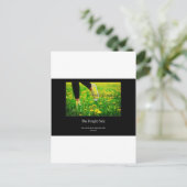 Kijk altijd naar de heldere kant van het leven, ve briefkaart (Staand voorkant)