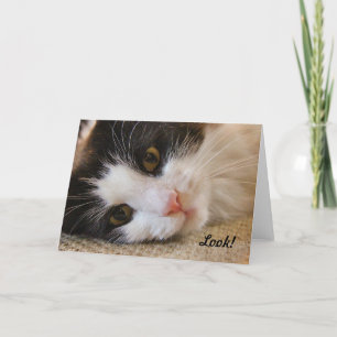 Kijk! Deze kat wenst een fijne verjaardag! Kaart