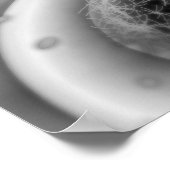 Kijk dicht bij celdeling poster (Hoek)