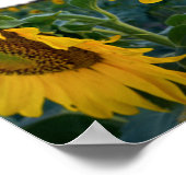 Kijk dichterbij poster (Hoek)