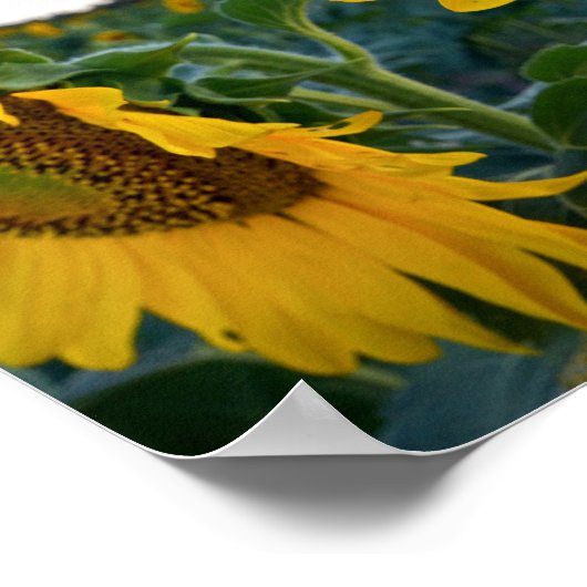 Kijk dichterbij poster (Hoek)