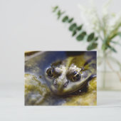 Kijk eens briefkaart (Staand voorkant)