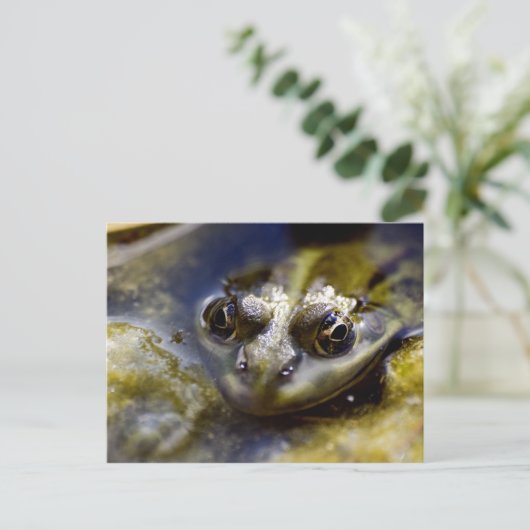 Kijk eens briefkaart (Staand voorkant)