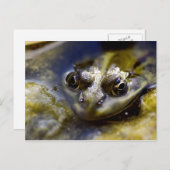 Kijk eens briefkaart (Voorkant / Achterkant)