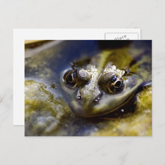 Kijk eens briefkaart (Voorkant / Achterkant)