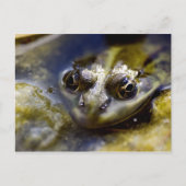 Kijk eens briefkaart (Voorkant)