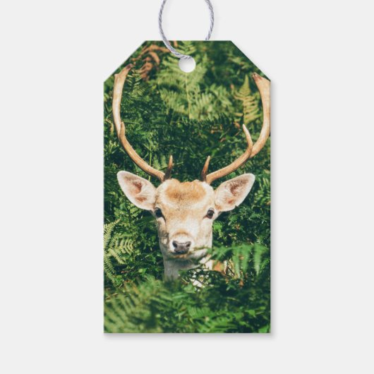Kijk eens naar een hert cadeaulabel (Voorkant)