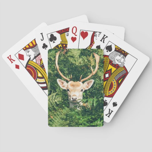 Kijk eens naar een hert pokerkaarten (Achterkant)