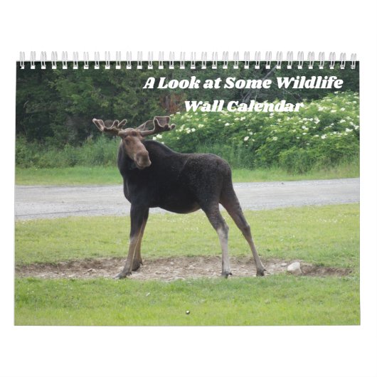 Kijk eens naar een Wildlife Wall Agenda Kalender (Hoes)