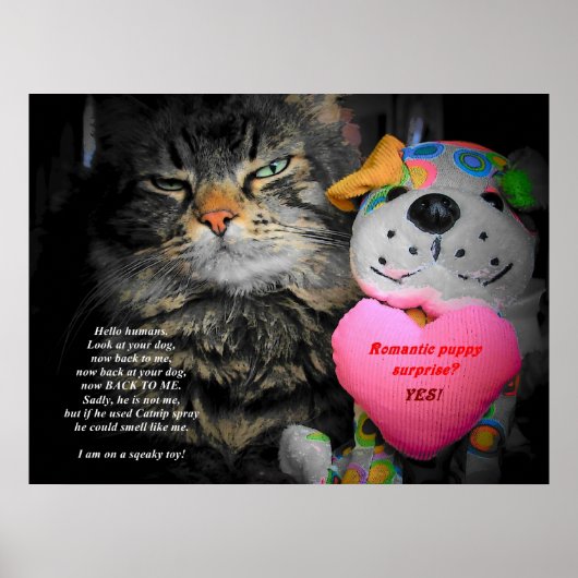 Kijk eens naar je hond. Kijk eens naar me. Poster (Voorkant)