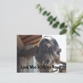 Kijk eens wie nu praat... briefkaart (Staand voorkant)