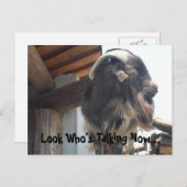 Kijk eens wie nu praat... briefkaart (Voorkant / Achterkant)