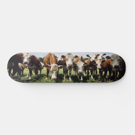 Kijk hier Cowabunga Persoonlijk Skateboard (Horizontaal)