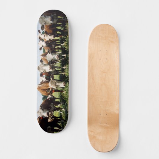 Kijk hier Cowabunga Persoonlijk Skateboard (Voorkant)