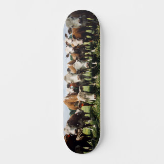 Kijk hier Cowabunga Persoonlijk Skateboard