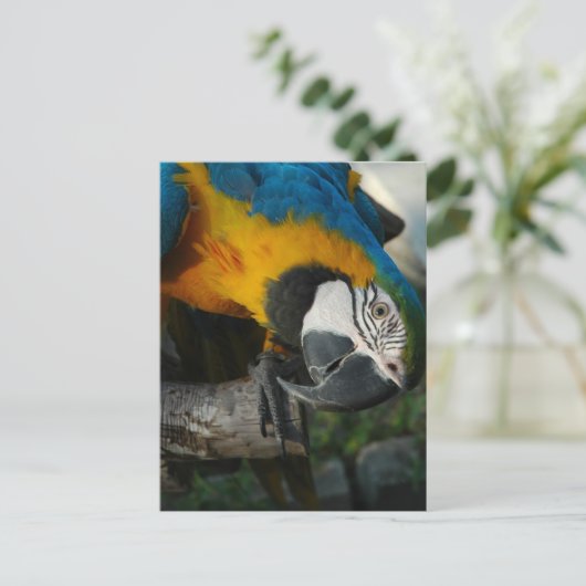 Kijk hier naar jou briefkaart (Staand voorkant)