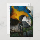 Kijk hier naar jou briefkaart (Voorkant / Achterkant)