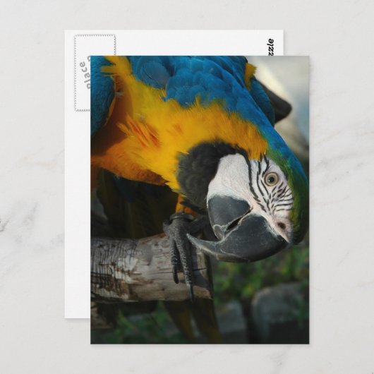 Kijk hier naar jou briefkaart (Voorkant / Achterkant)